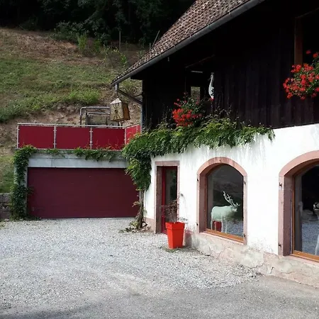 Le Moulin Des Automates *